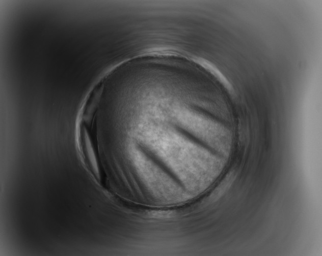 X0000087551277200705181100