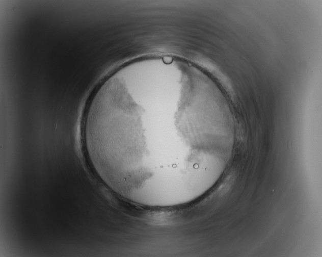 X0000087551278200705181100