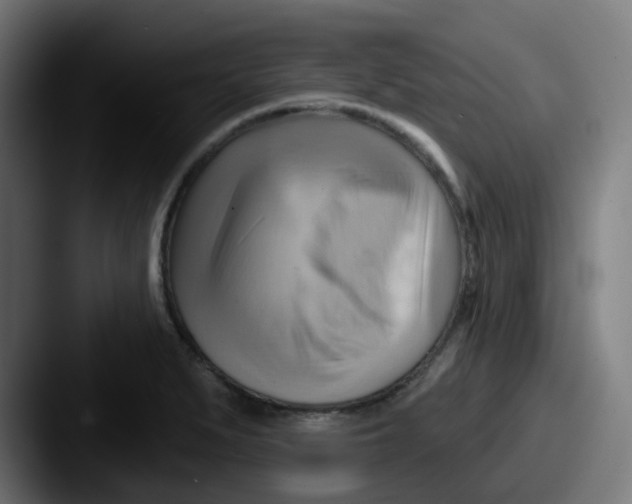 X0000087551279200705181100