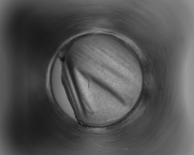 X0000087551280200705181100