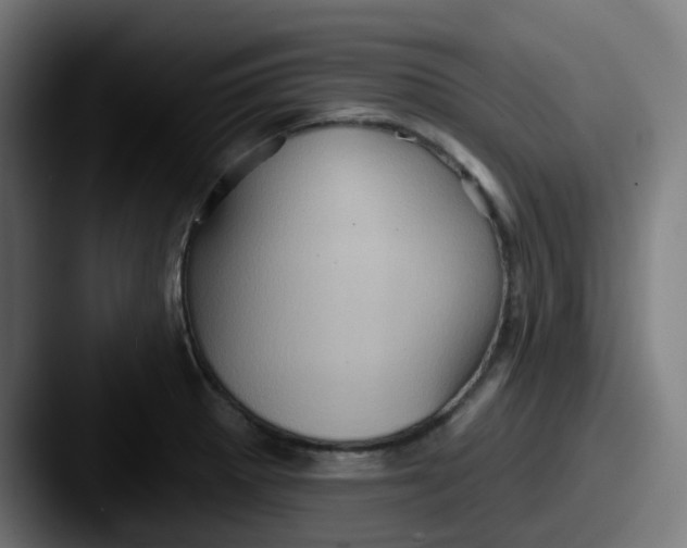 X0000087551281200705181100