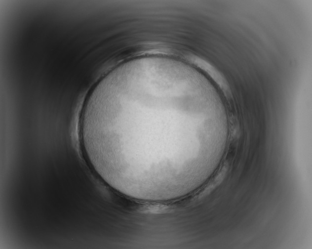 X0000087551282200705181100