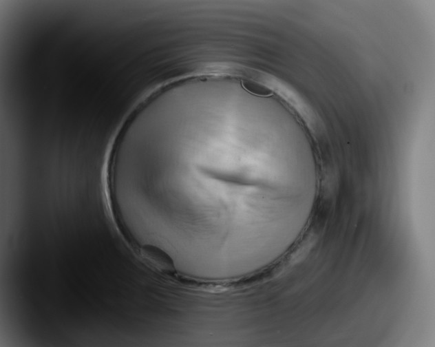 X0000087551283200705181100