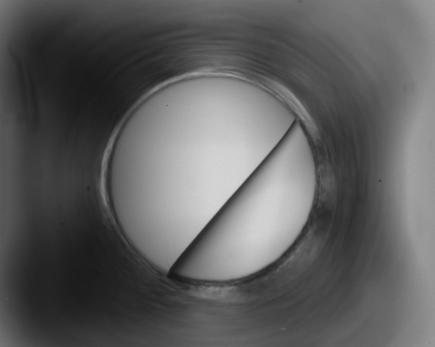 X0000087551284200705181100