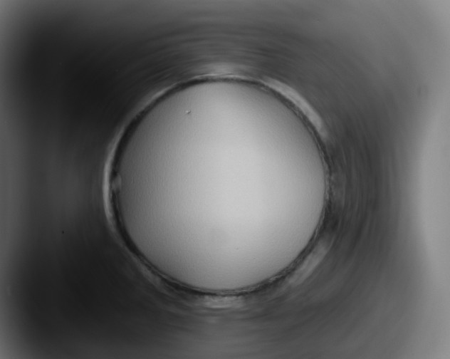 X0000087551285200705181100