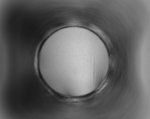 X0000087551286200705181100