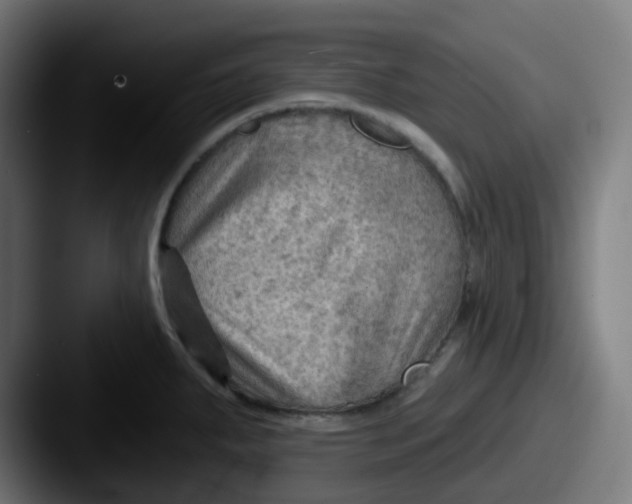 X0000087551287200705181100