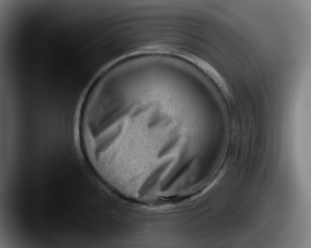 X0000087551288200705181100