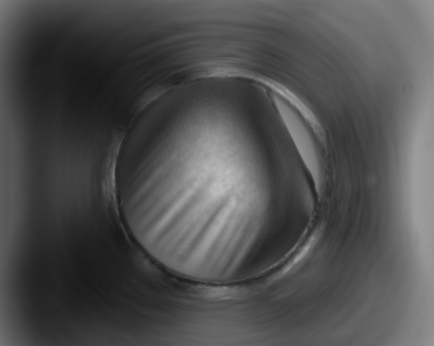 X0000087551289200705181100