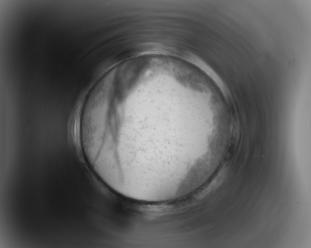 X0000087551290200705181100