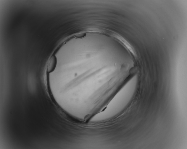 X0000087551291200705181100