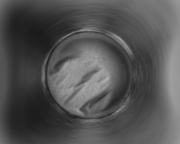 X0000087551292200705181100