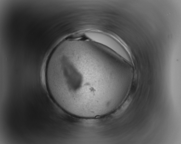 X0000087551293200705181100