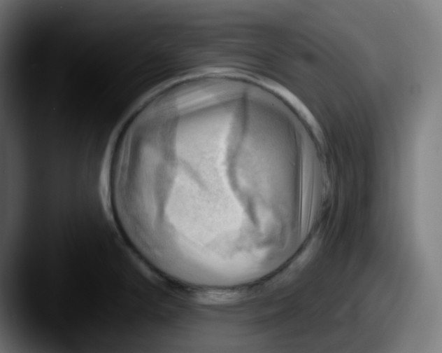 X0000087551294200705181100