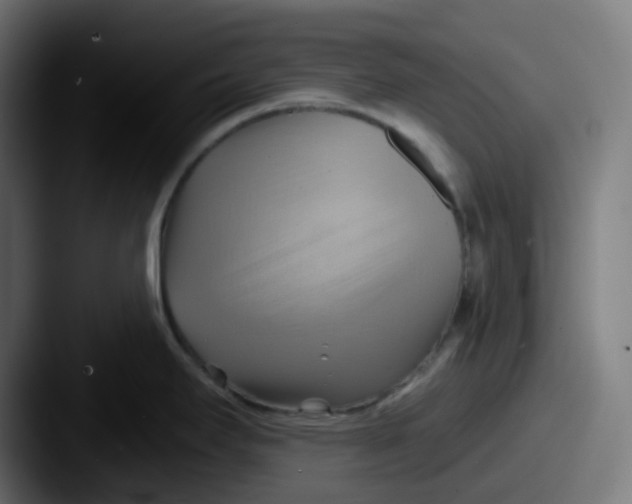 X0000087551295200705181100