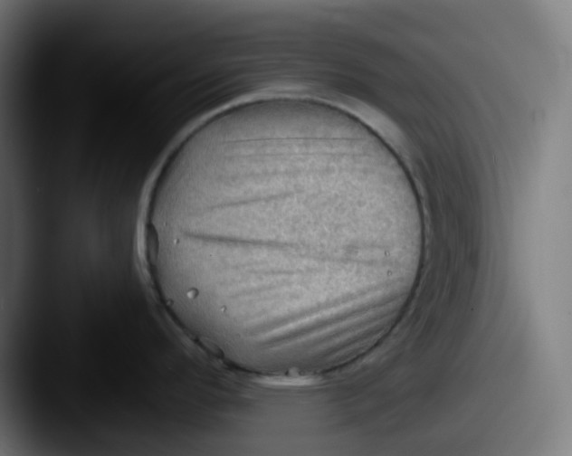 X0000087551296200705181100