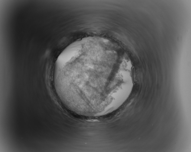 X0000087551297200705181059