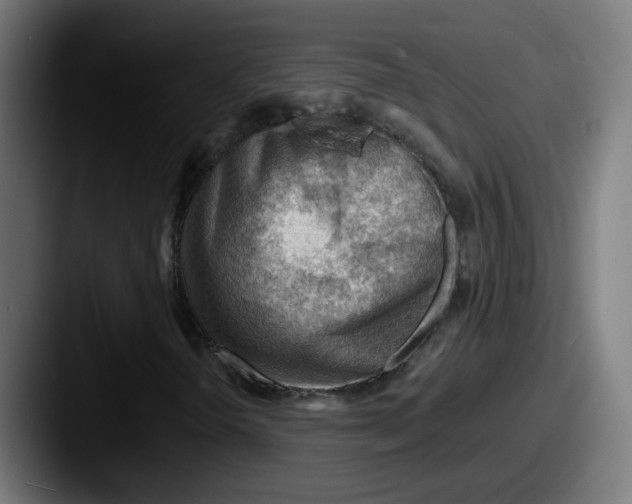 X0000087551298200705181059