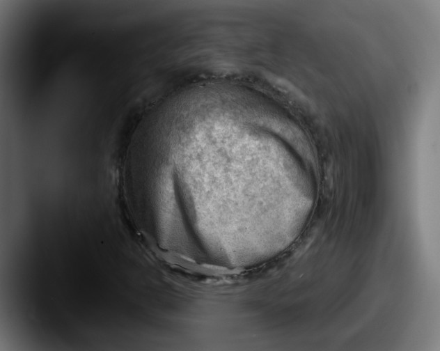 X0000087551302200705181059