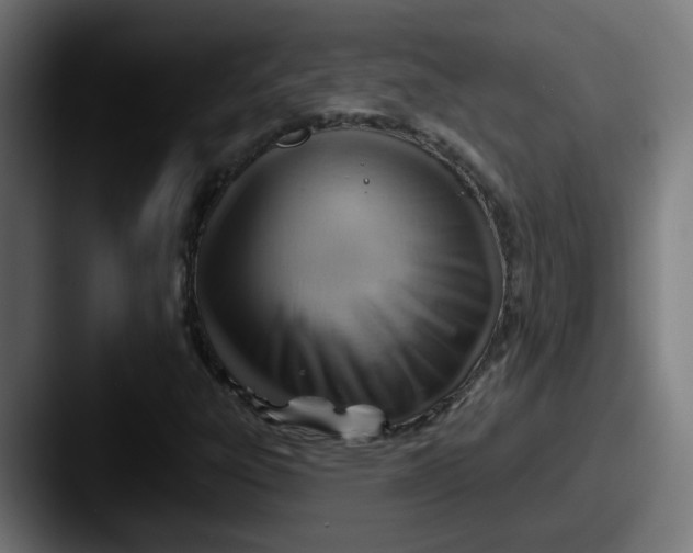 X0000087551303200705181059