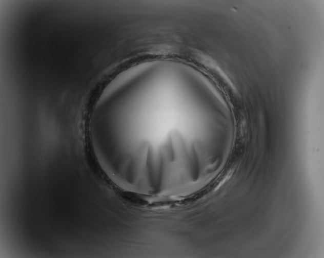 X0000087551304200705181059