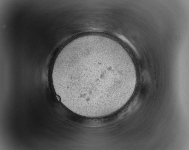 X0000087551307200705181059