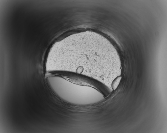 X0000087551308200705181059