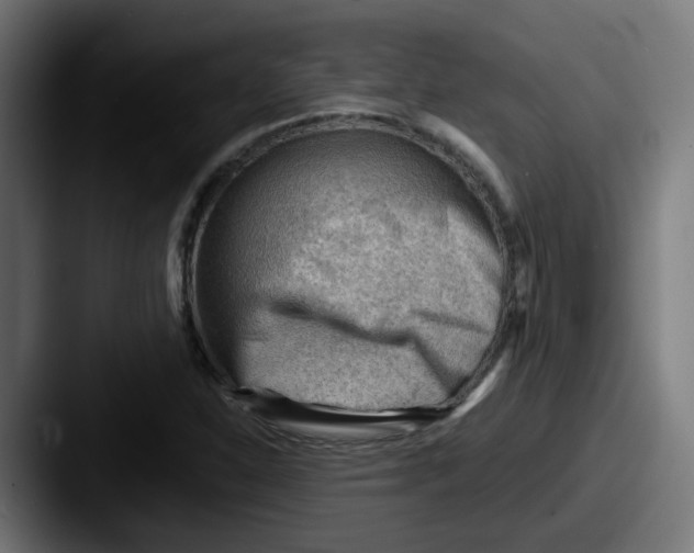 X0000087551310200705181059