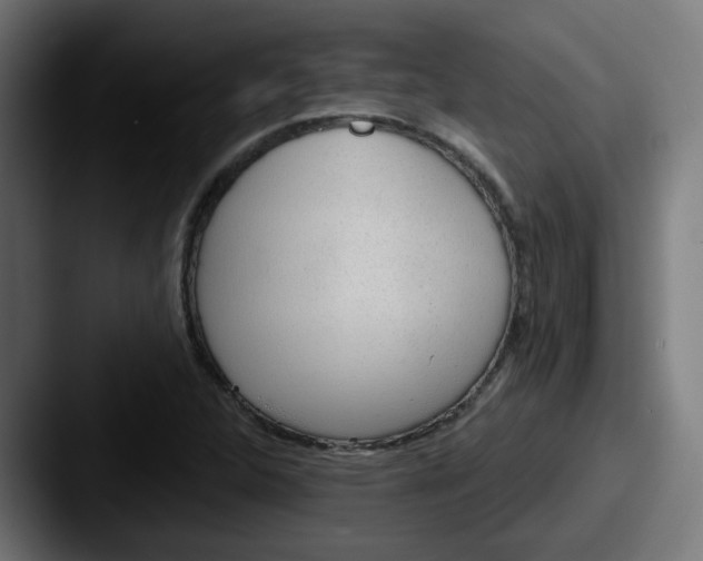 X0000087551312200705181059