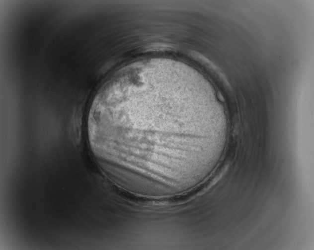 X0000087551313200705181059