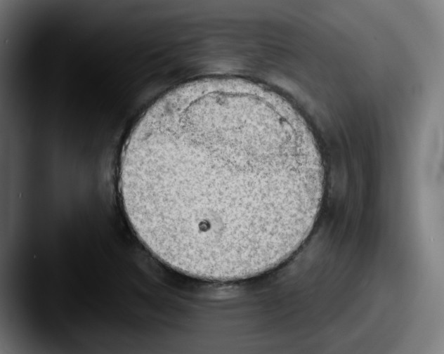 X0000087551314200705181059