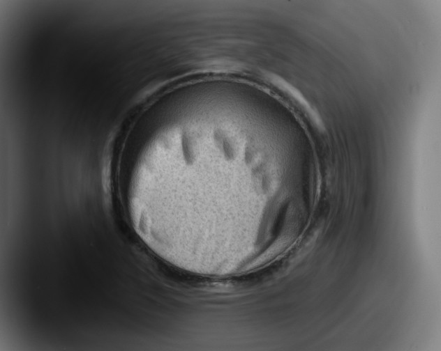 X0000087551315200705181059