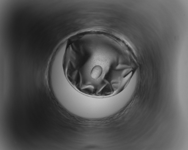 X0000087551316200705181059