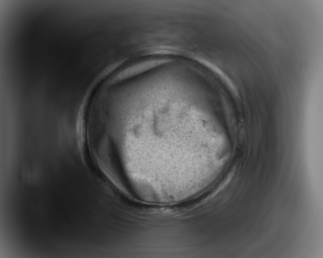 X0000087551317200705181059