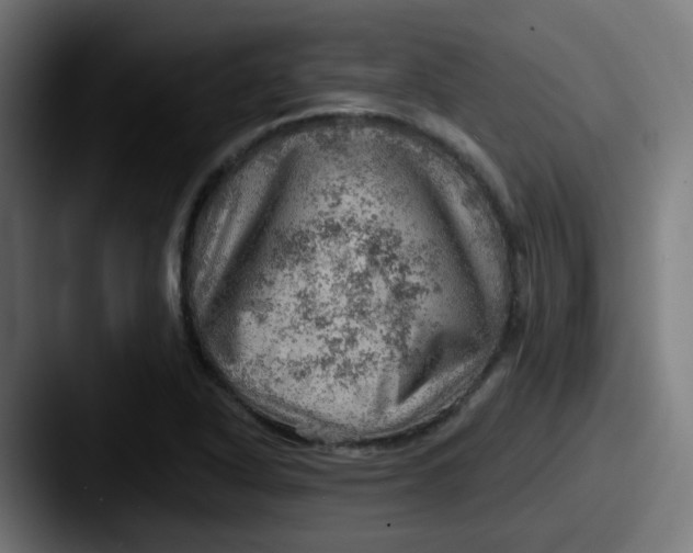 X0000087551318200705181059