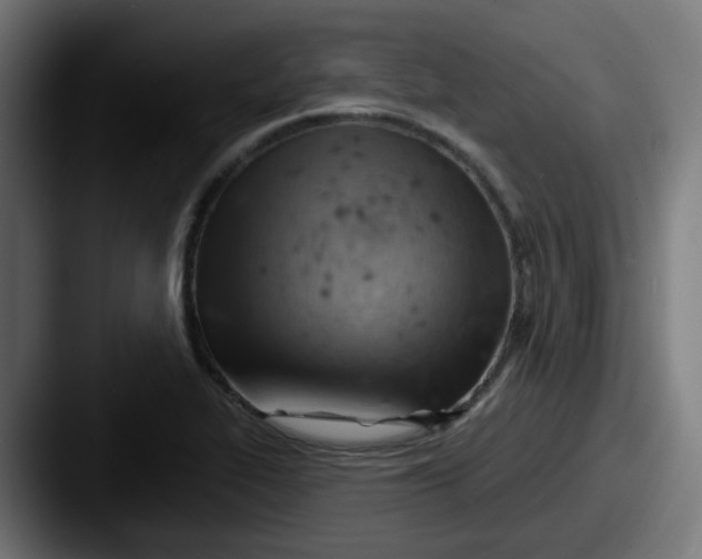 X0000087551319200705181059