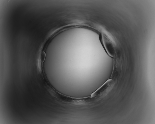 X0000087551320200705181059