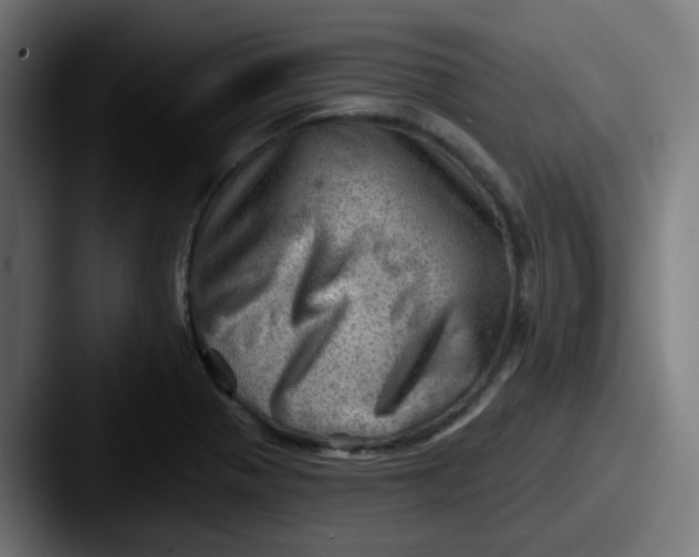 X0000087551321200705181059