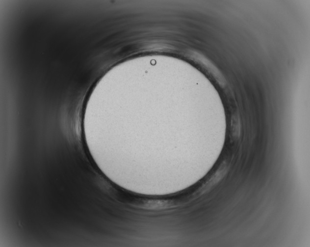 X0000087551322200705181059