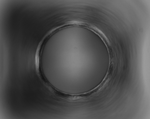 X0000087551323200705181059