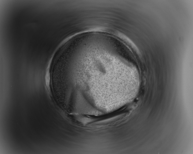 X0000087551324200705181059