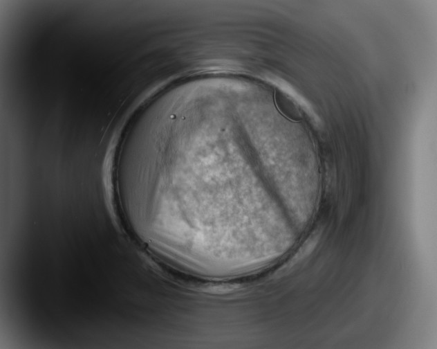 X0000087551325200705181059