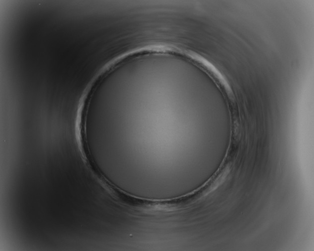 X0000087551327200705181059