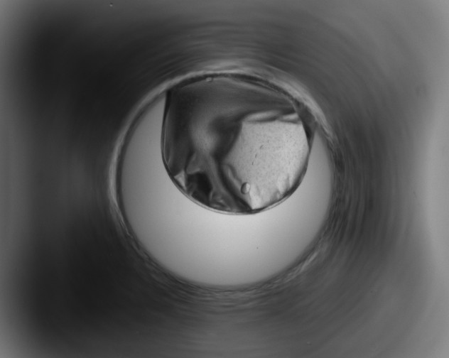 X0000087551328200705181059