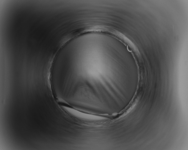 X0000087551329200705181059