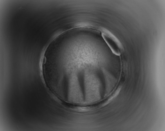 X0000087551330200705181059