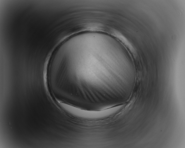 X0000087551331200705181059