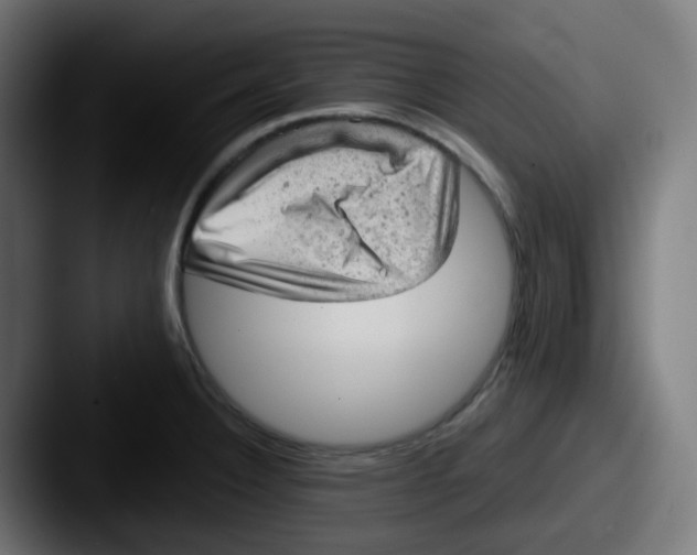 X0000087551332200705181059