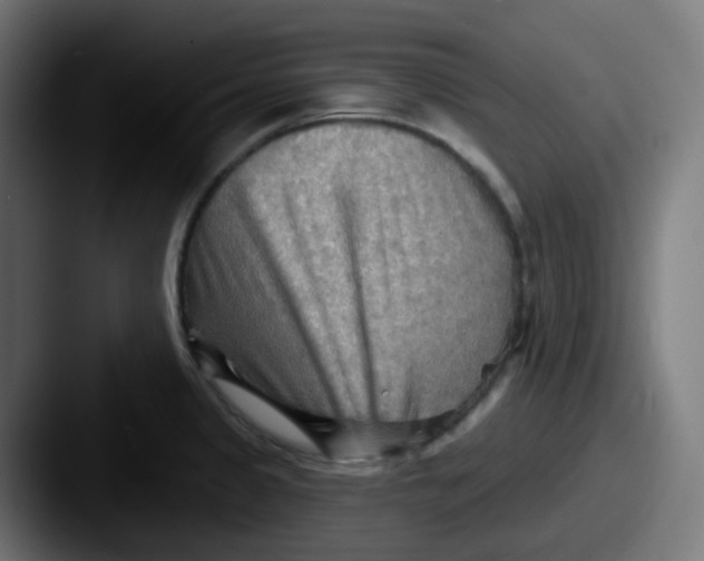 X0000087551333200705181059