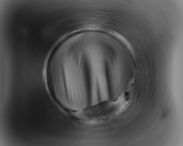 X0000087551334200705181059